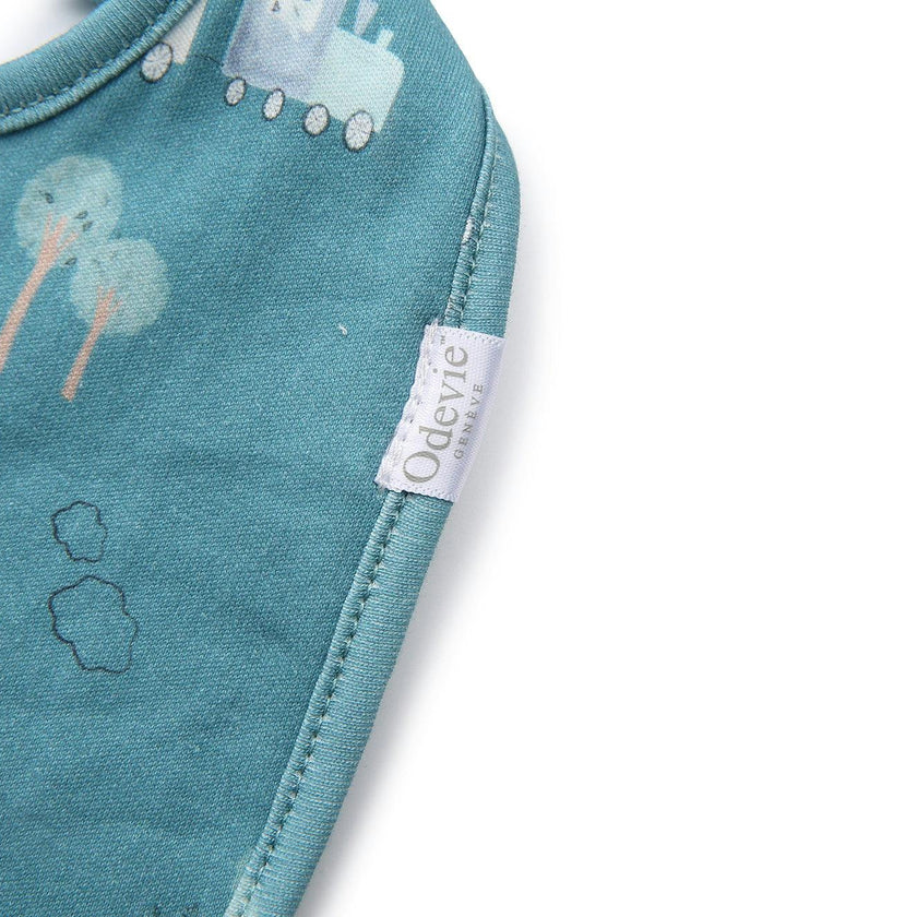 Bib 2-Pack - Le Petit Express Green