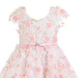 Pink Louisa Embroidered Floral Dress