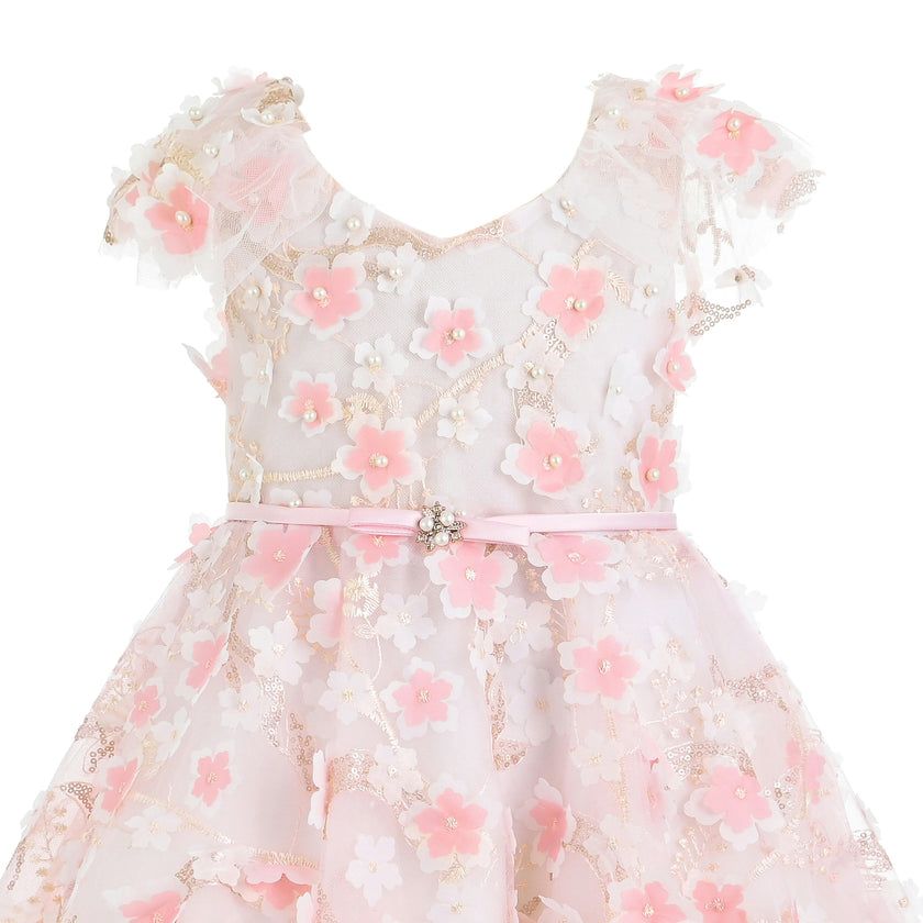 Pink Louisa Embroidered Floral Dress