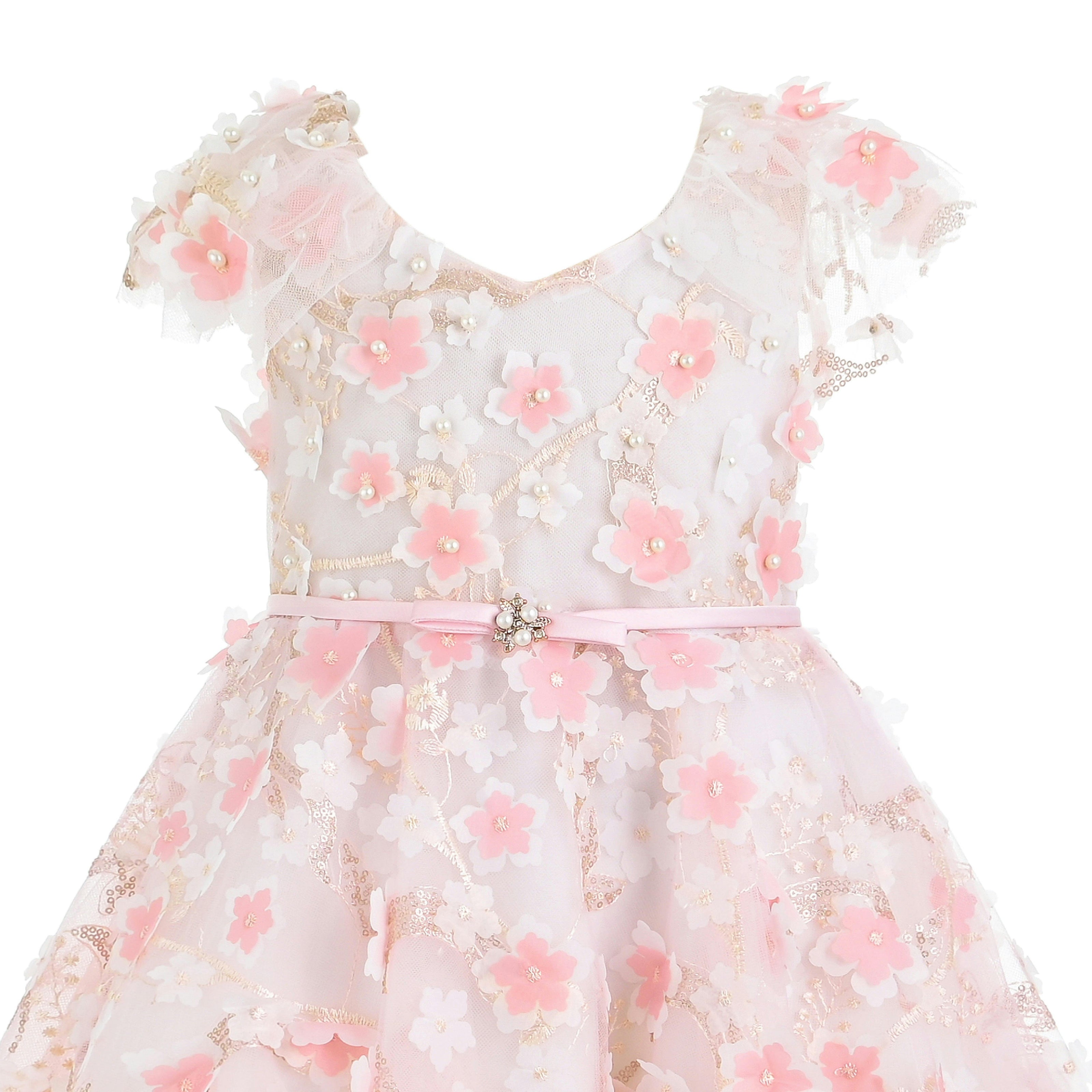 Pink Louisa Embroidered Floral Dress