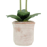 Artificial 2-Stem Phalaenopsis White Orchid