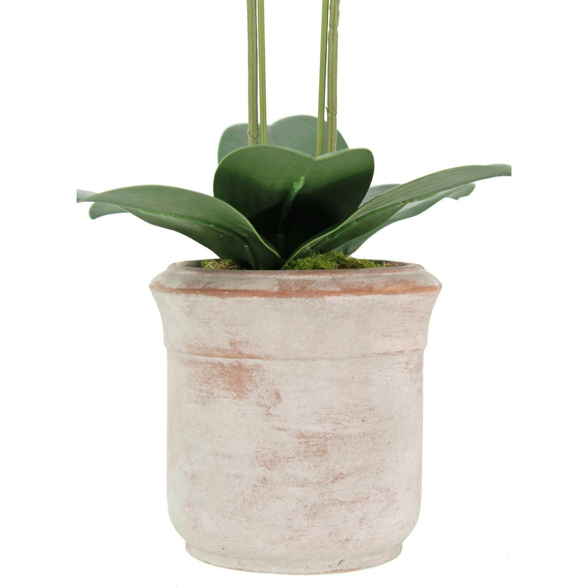 Artificial 2-Stem Phalaenopsis White Orchid