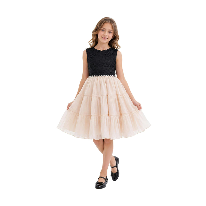 Black Veyona Lace Tulle Dress