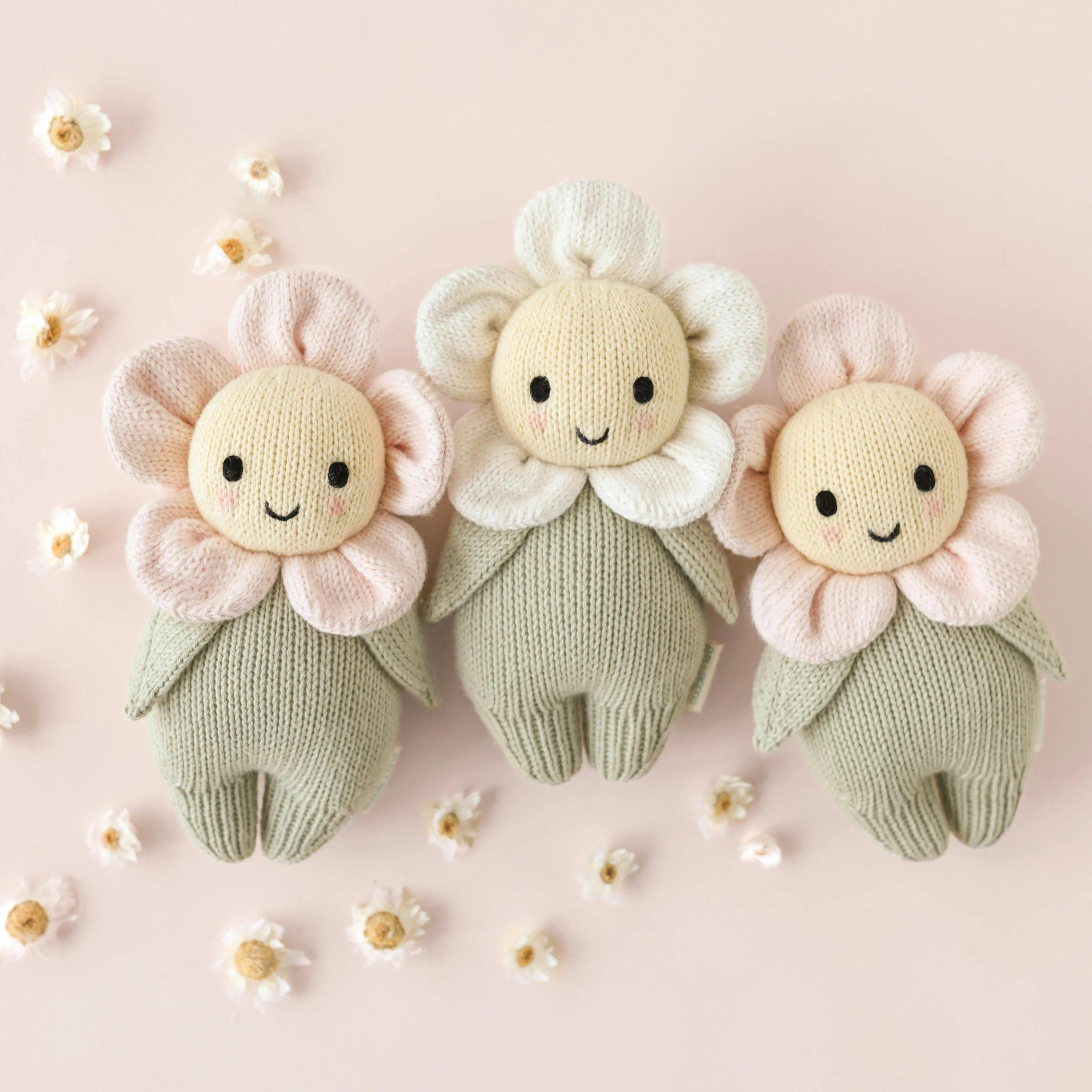 Baby daisy (blush pink)