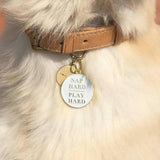 Nap Hard Play Hard Pet ID Tag