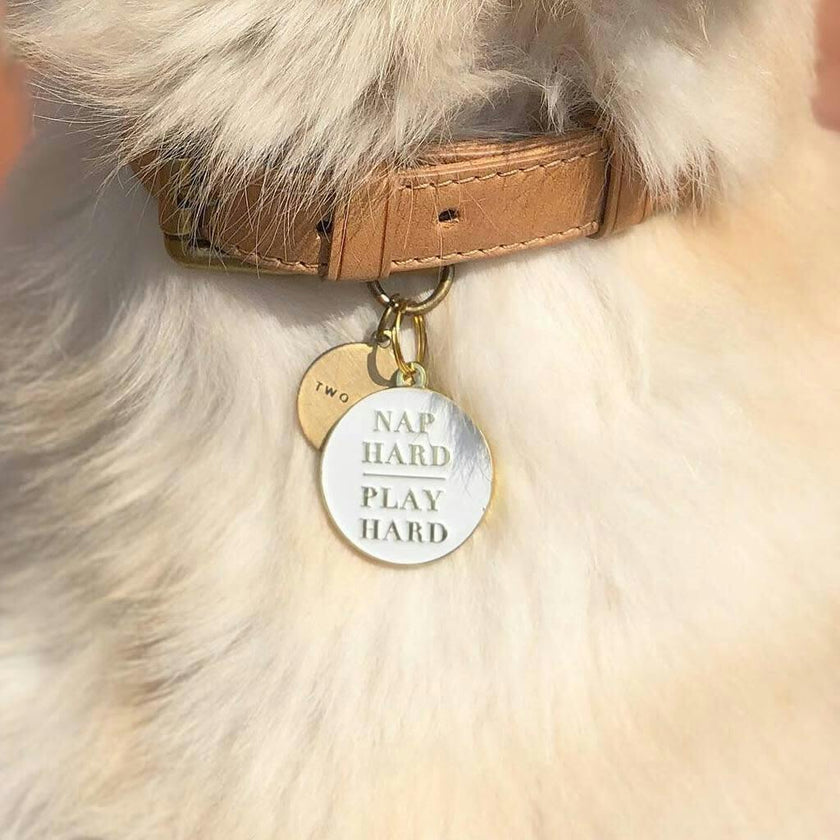 Nap Hard Play Hard Pet ID Tag