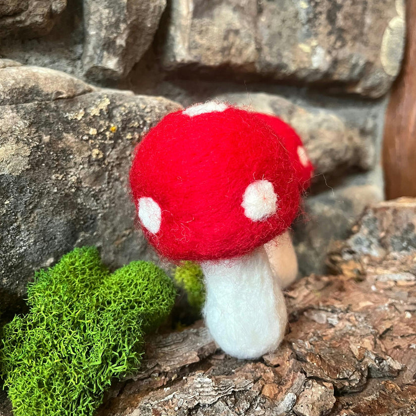 Doggy Shroom