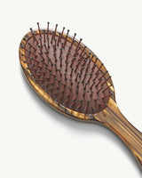 Everyday Detangling Hair Brush in Tiger's Eye