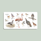 Our Big Book of Animals