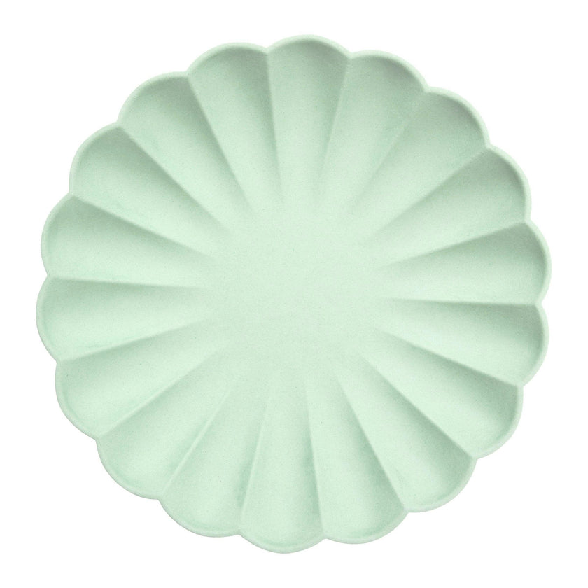 Mixed Simply Eco Plates Large