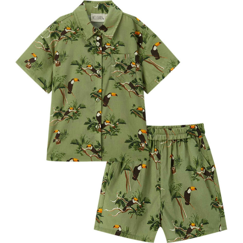 Collar Button-Up Shirt and Shorts Set