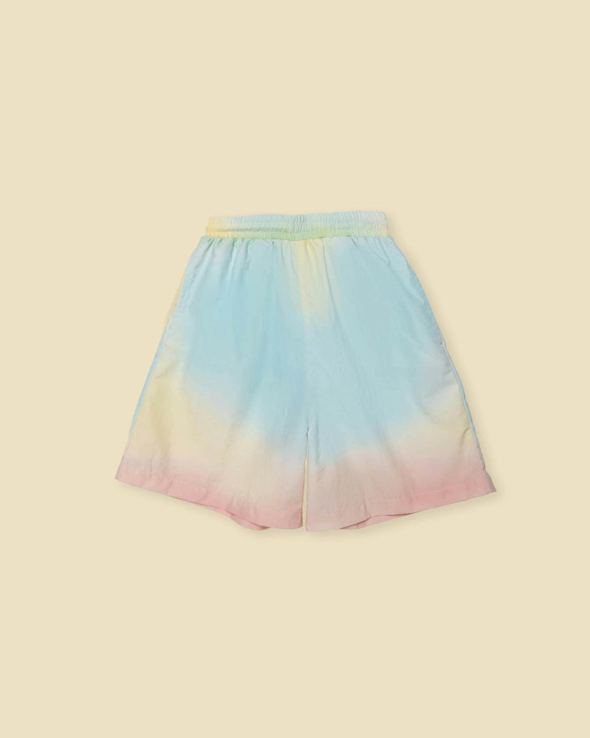 Board Shorts in Rainbow Sherbet