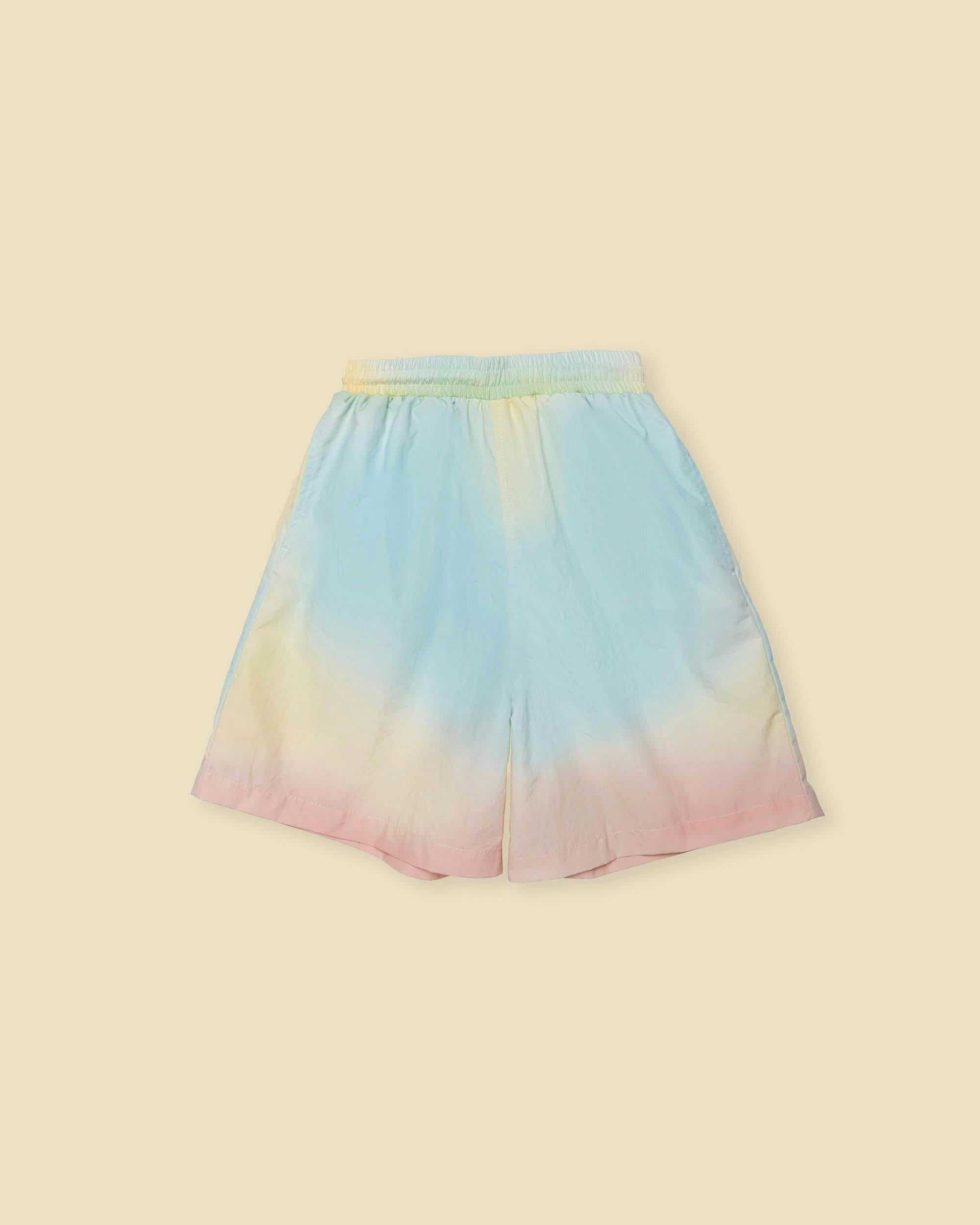Board Shorts in Rainbow Sherbet