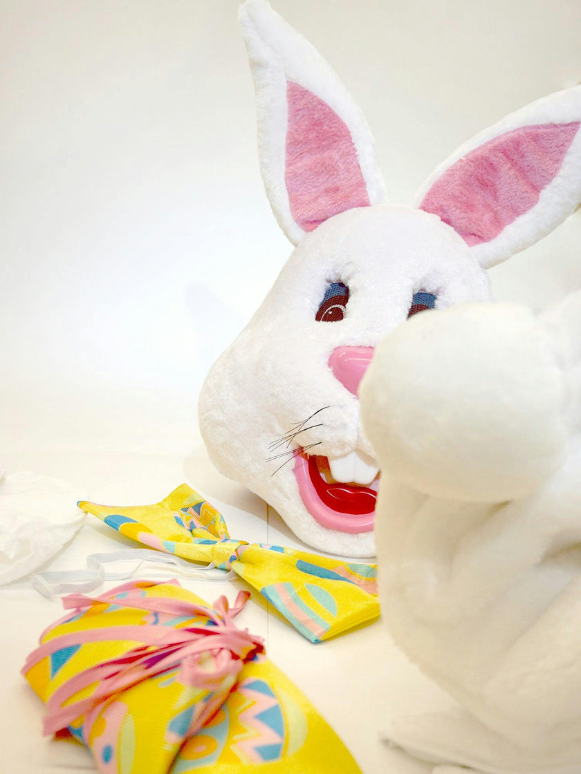 Adult Mascot Easter Bunny Costume with Festive Egg Vest