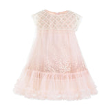 Pink Renoria Lace Sparkle Dress