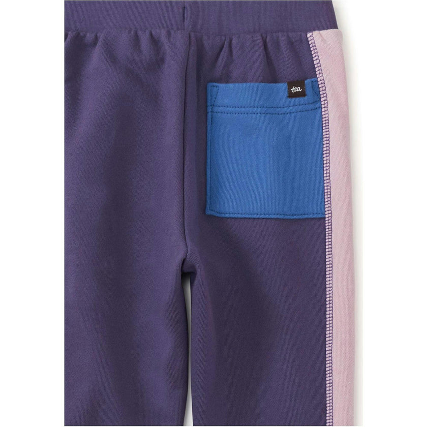 Colorblock Stripe-Out Elastic Waist Drawstring Pocket Joggers, Purple