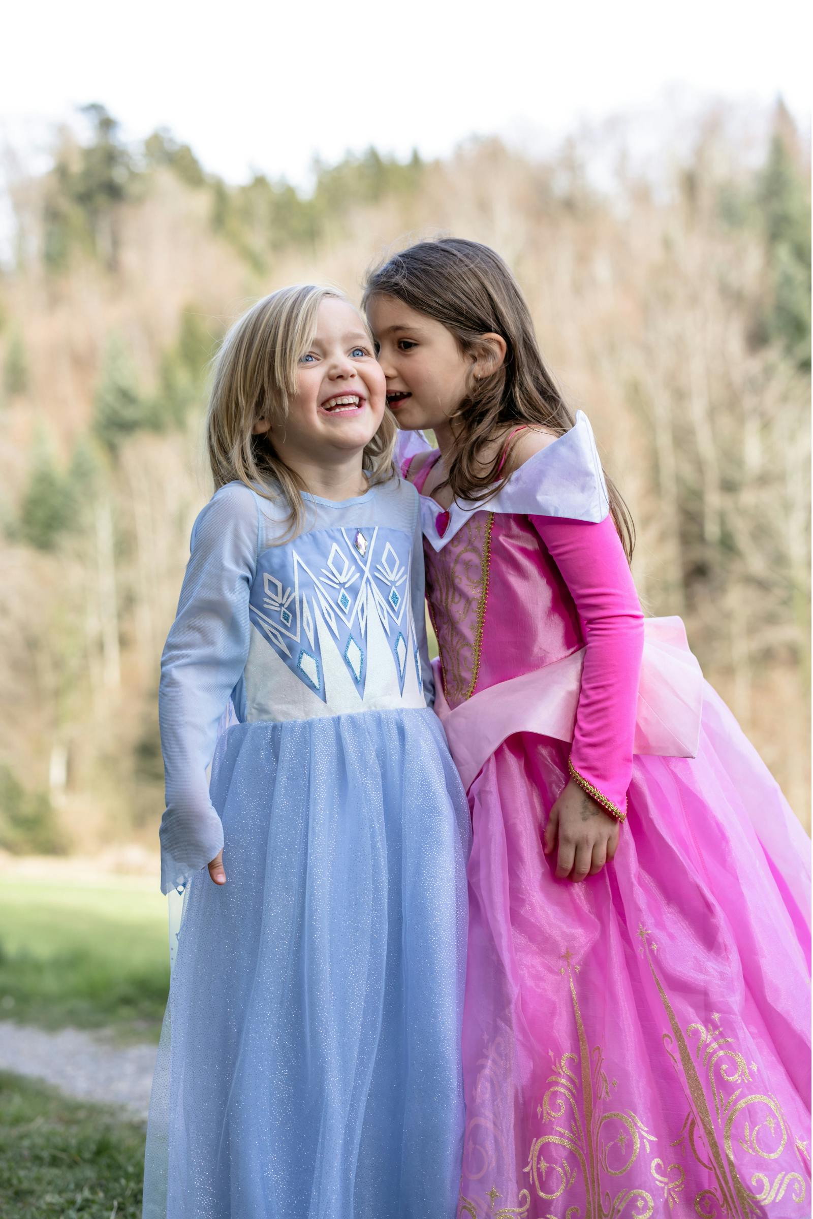 Once Upon a Princess Winter Princess Dress  Maisonette