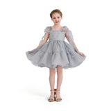 Light Aureline Gray Ruffled Party Dress