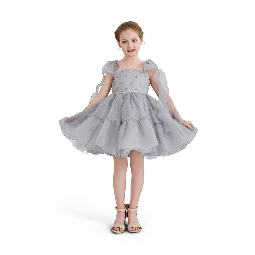 Light Aureline Gray Ruffled Party Dress
