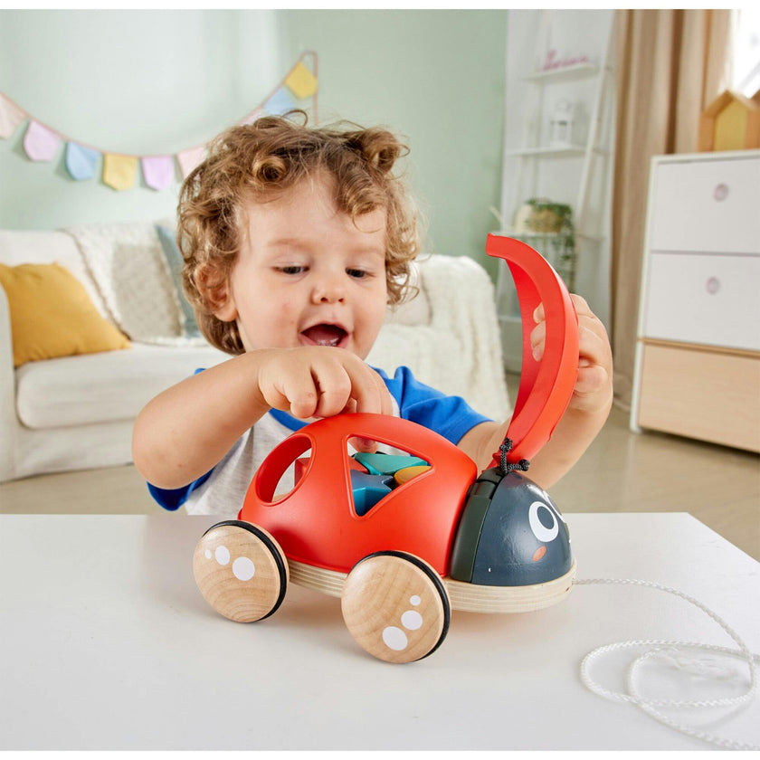S Sorter Pull-Along Wooden Toddler Toy