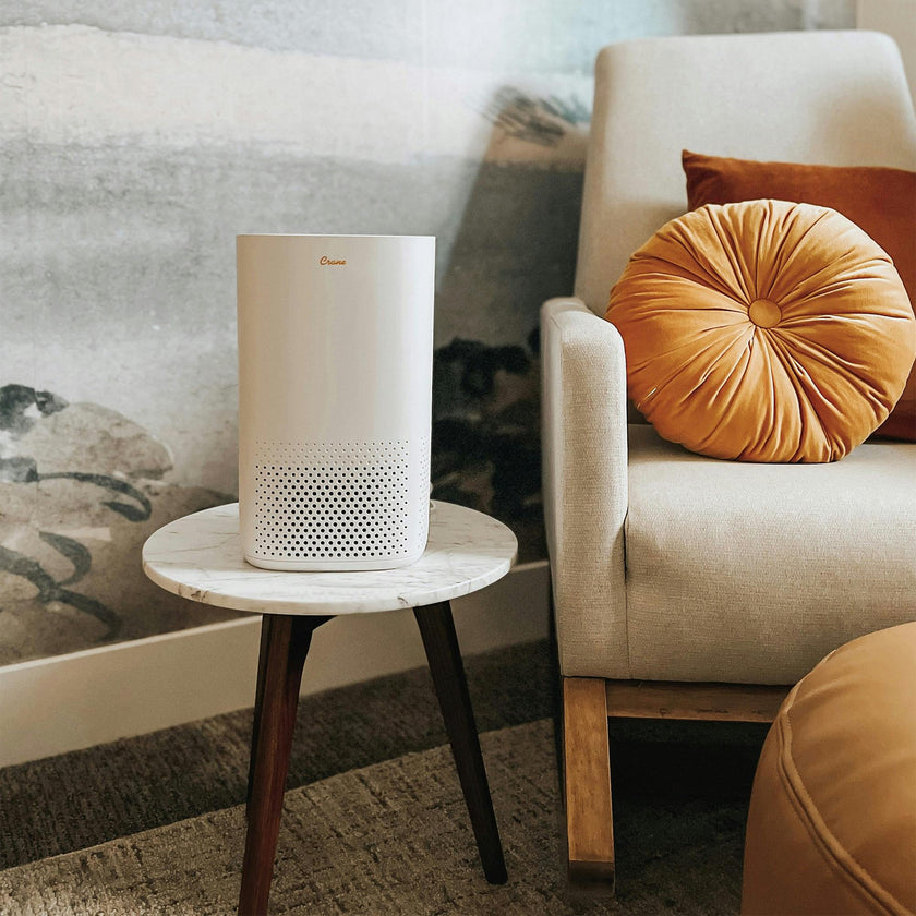 Air Purifier with True HEPA Filter - Up To 250 sq. ft.