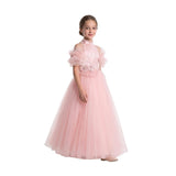 Pink Freya Lace Embellished Tulle Gown