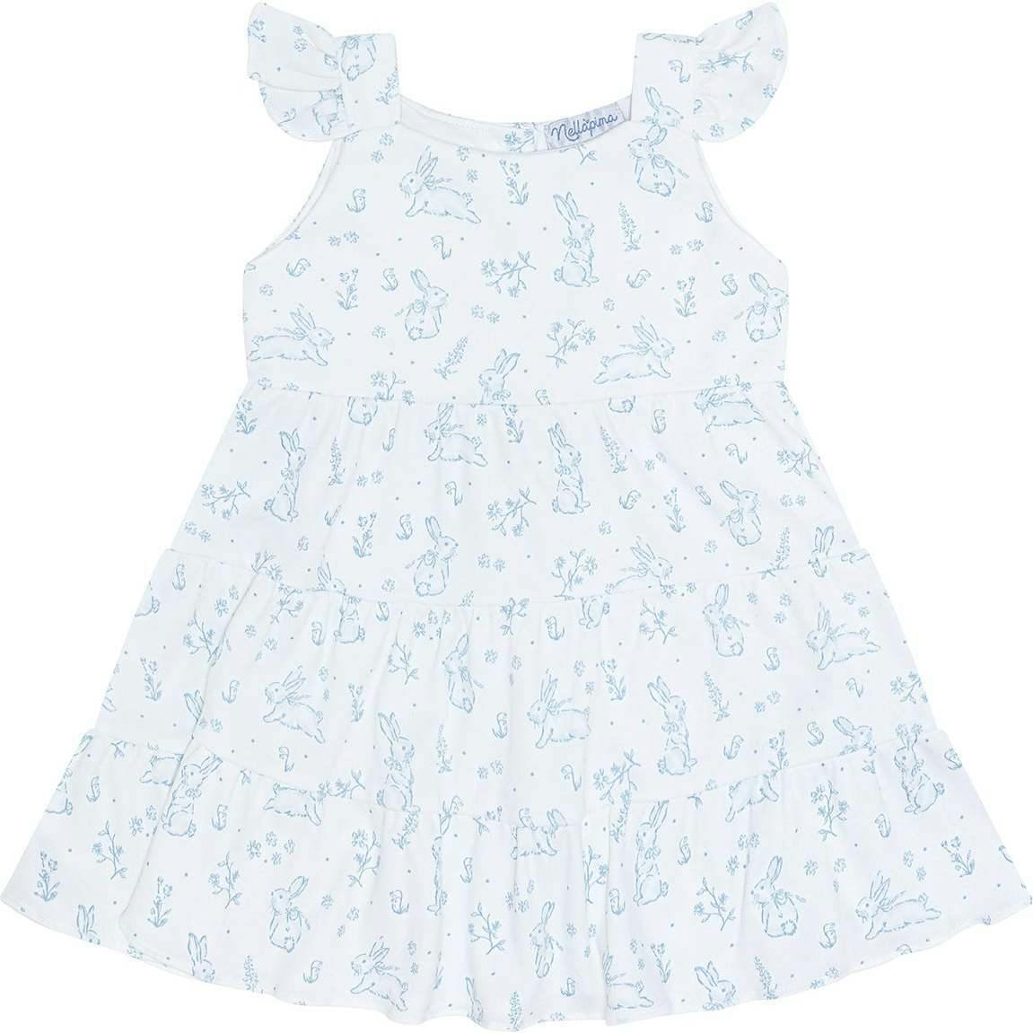 Blue Toile Ruffle Dress