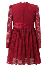 Ember Lace Mini Dress