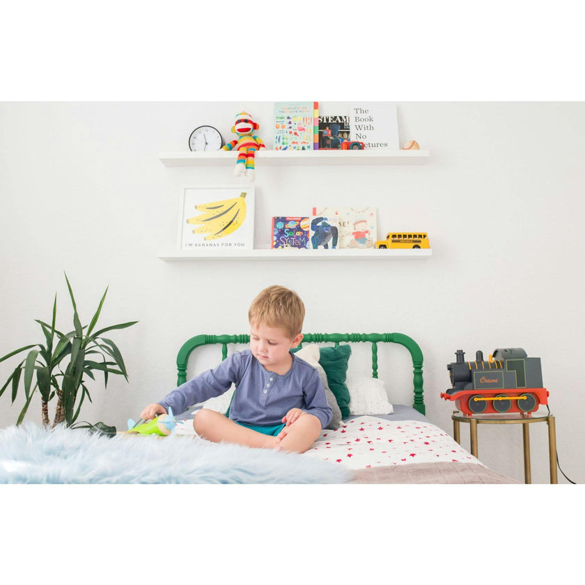 Ultrasonic Cool Mist Train Humidifier