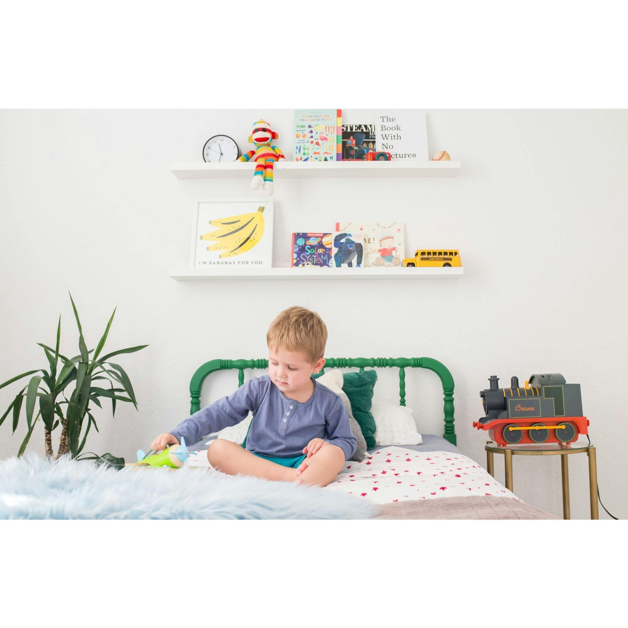 Ultrasonic Cool Mist Train Humidifier