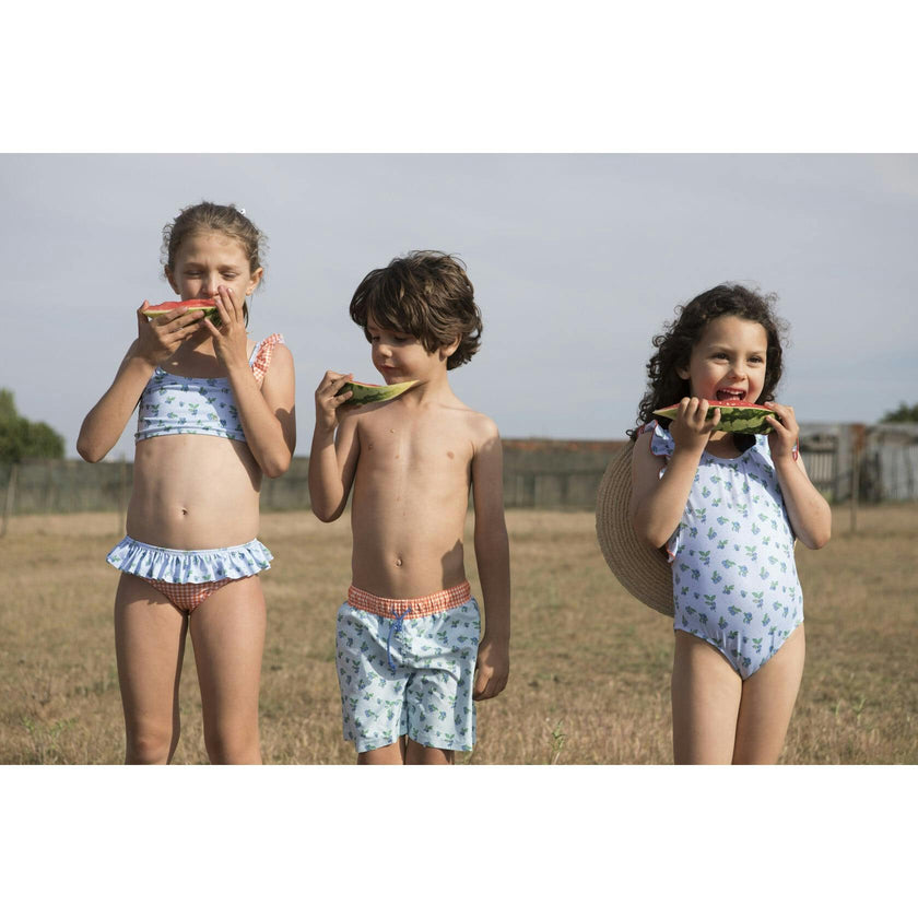 Blueberry Print Vichy Swimsuit, Multi
