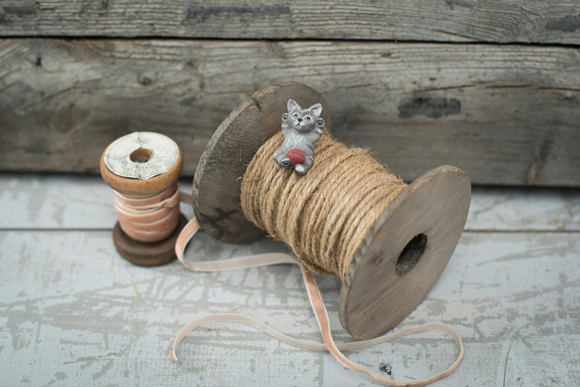 Miv & Nulle Cats