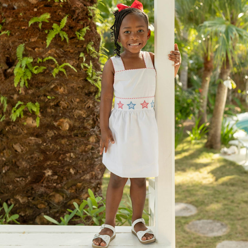 Campbell Dress in Striped Stars