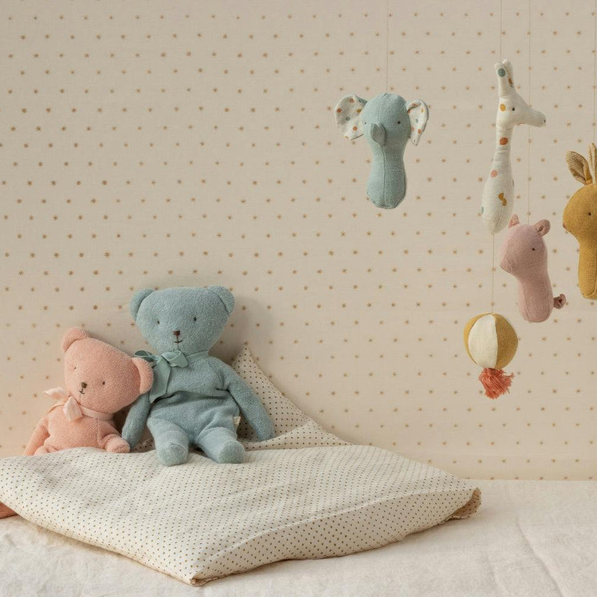 Teddy - Rose