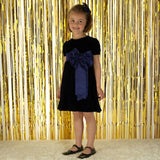 Crushed Velvet Bow Ribbon Tie Short Puff Sleeve Dress
