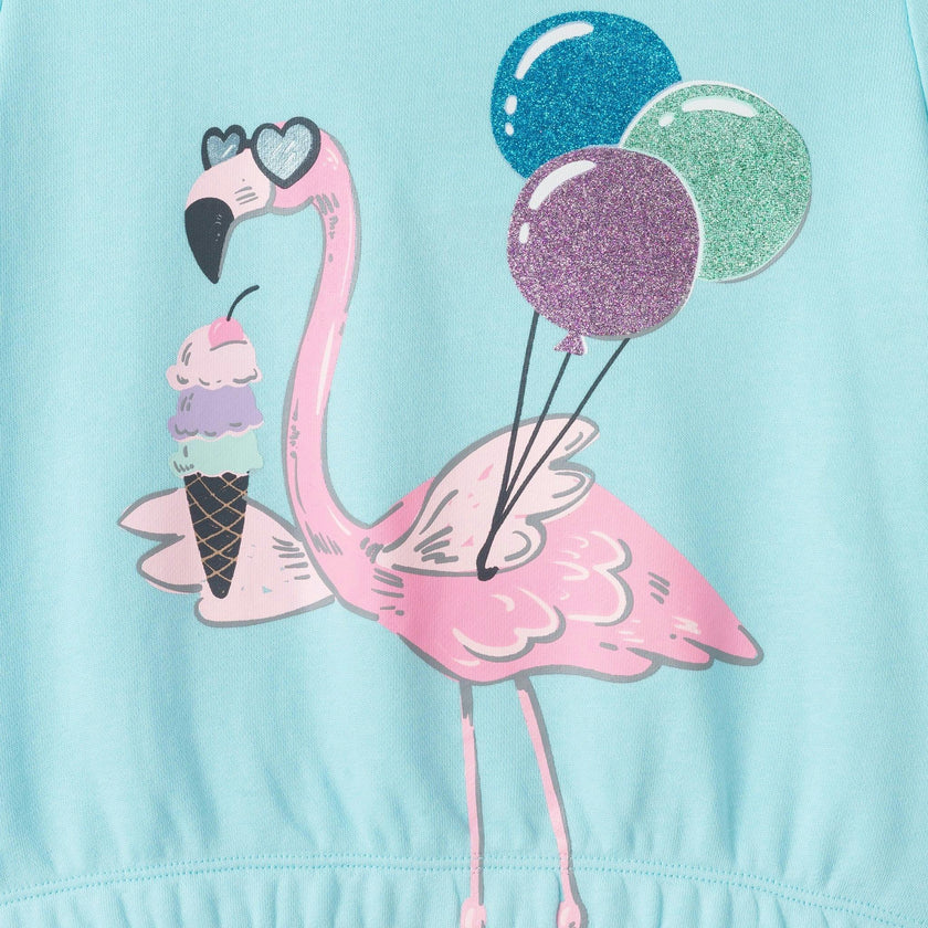 Sweatshirt & Dress Set | Flamingo & Balloons