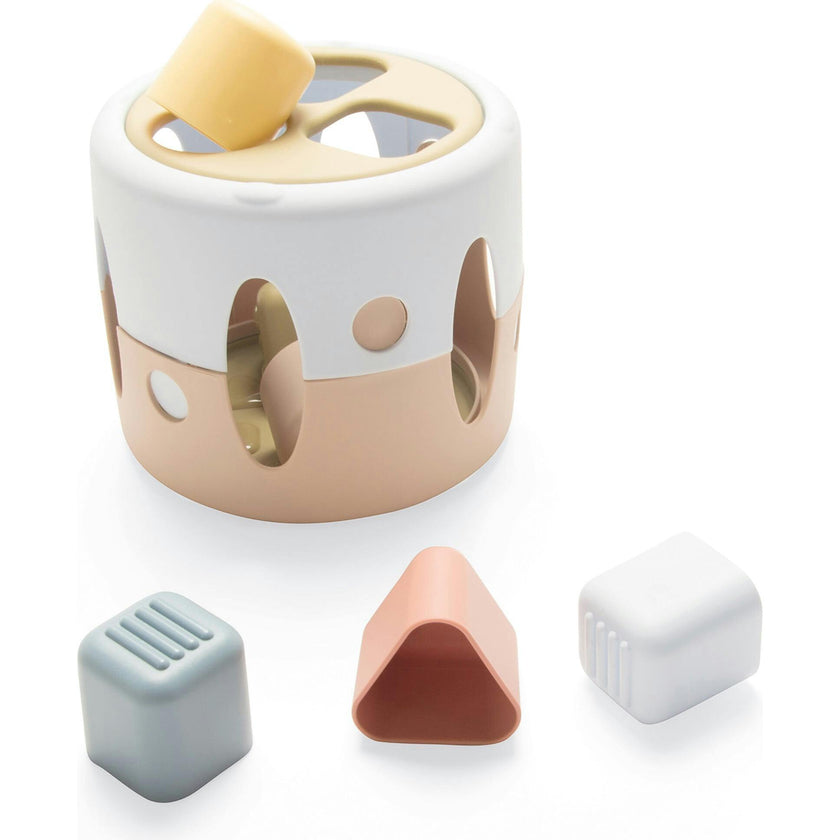 Tiny BIO: Shape Sorter