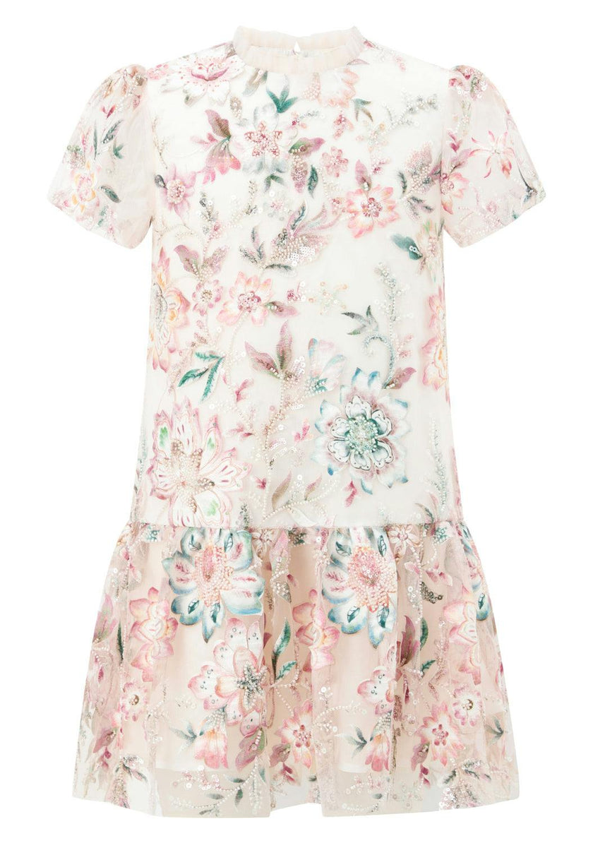 Veronica Embroidery Mini Dress