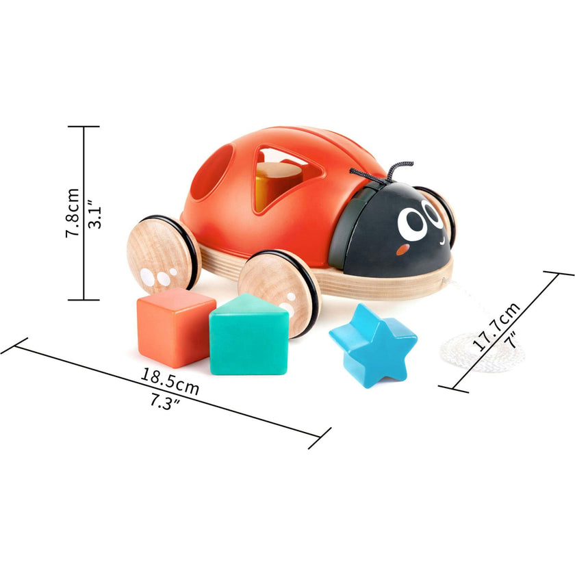 S Sorter Pull-Along Wooden Toddler Toy