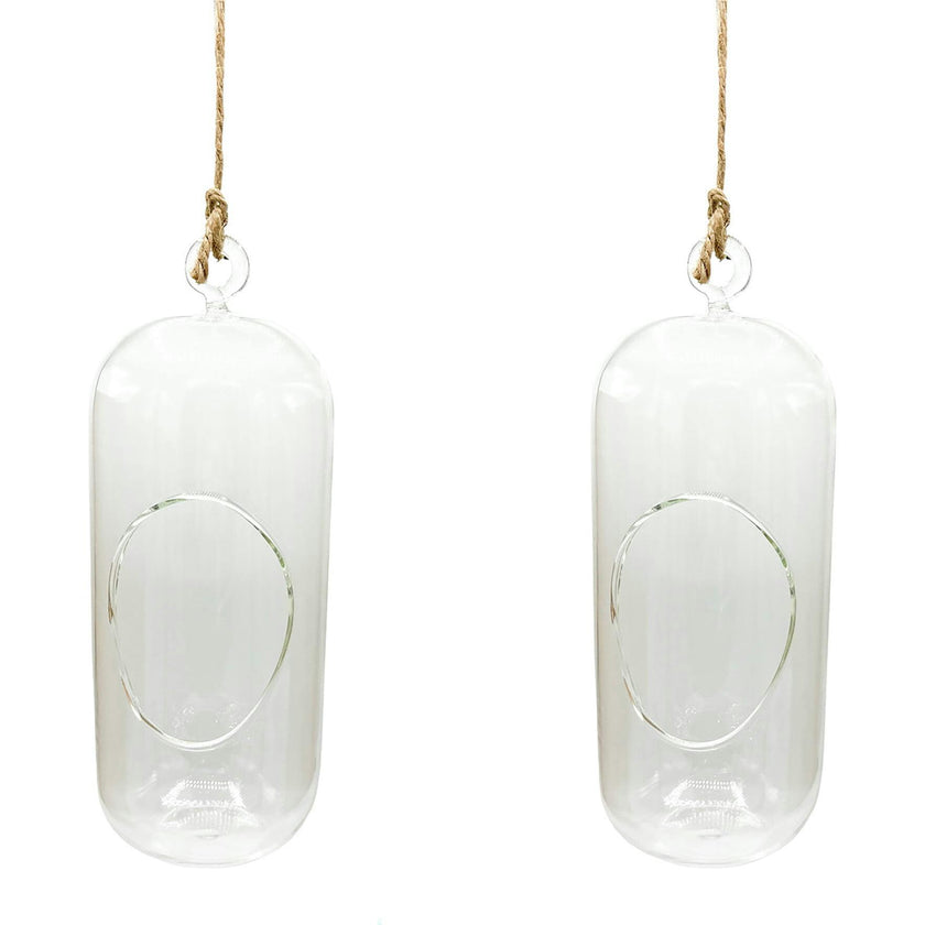 Glass Terrarium: Carefree Capsule - 2 Pack