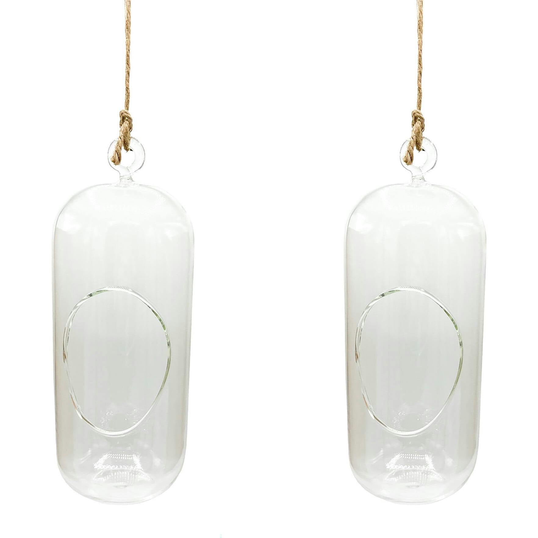 Glass Terrarium: Carefree Capsule - 2 Pack