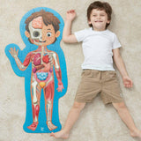 Human Body Jigsaw Puzzle
