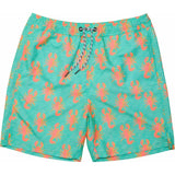 Men's Sustainable Comfort Lined Drawstring Swim Short
