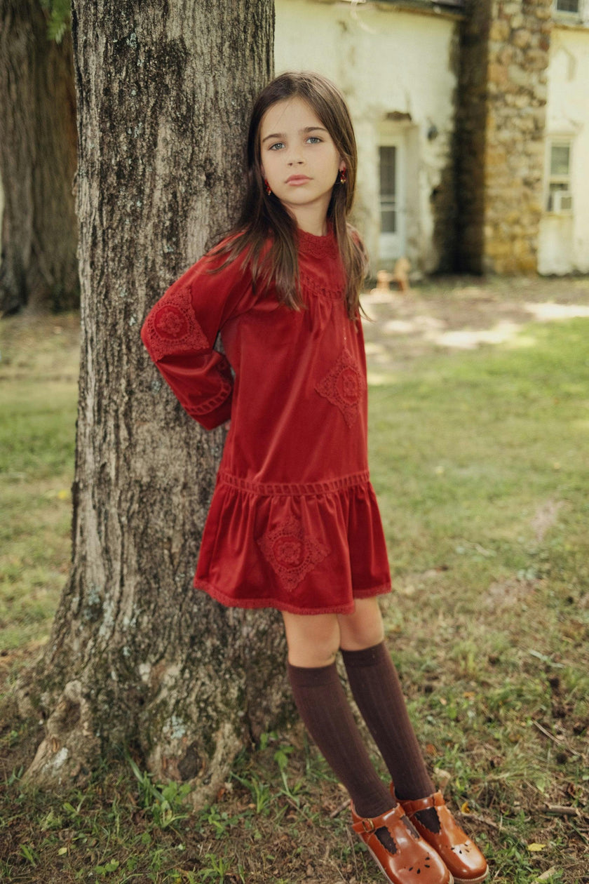 Lace Velvet Dress