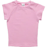 Raspberry Stripe  SS Rash Top