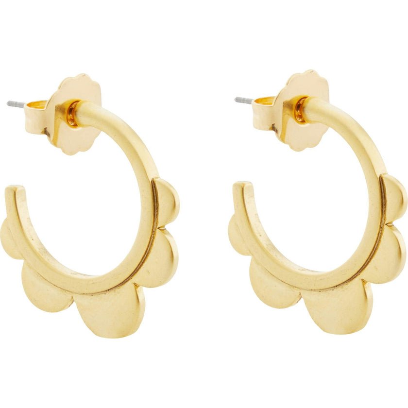Scallop Hoops