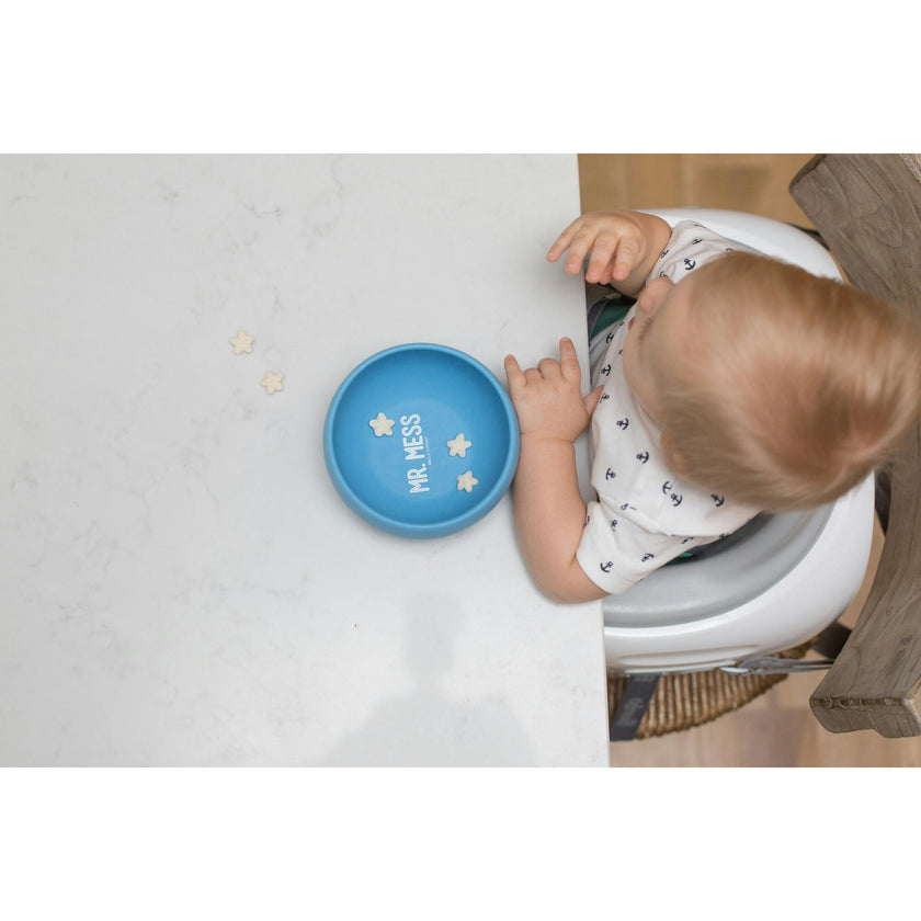 Mr Mess Suction Bowl