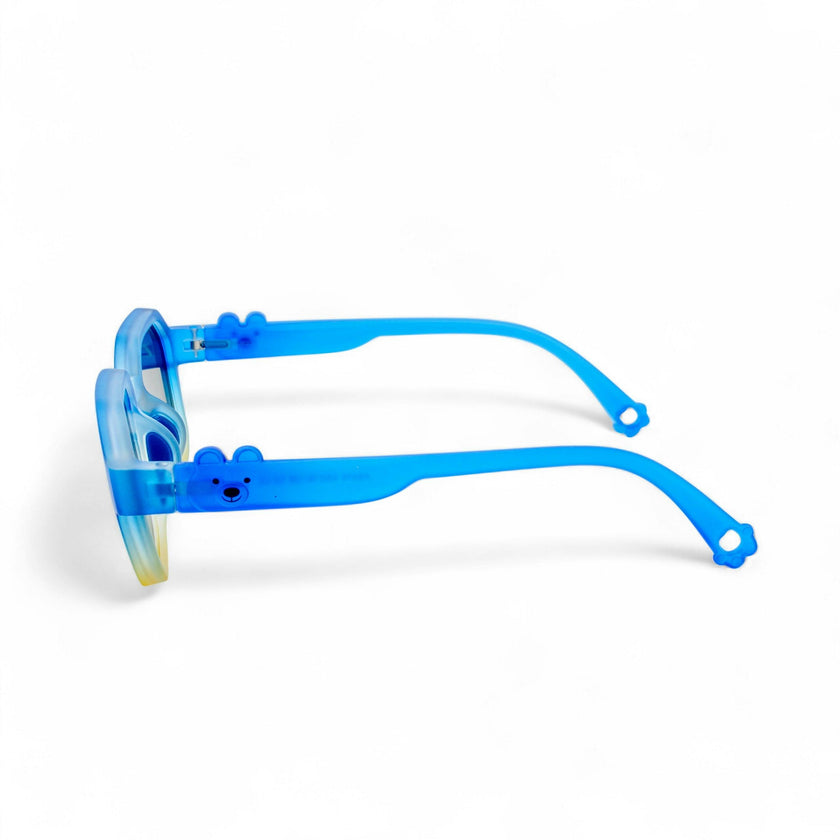 Frost Polarized Explorer Kids Sunglasses
