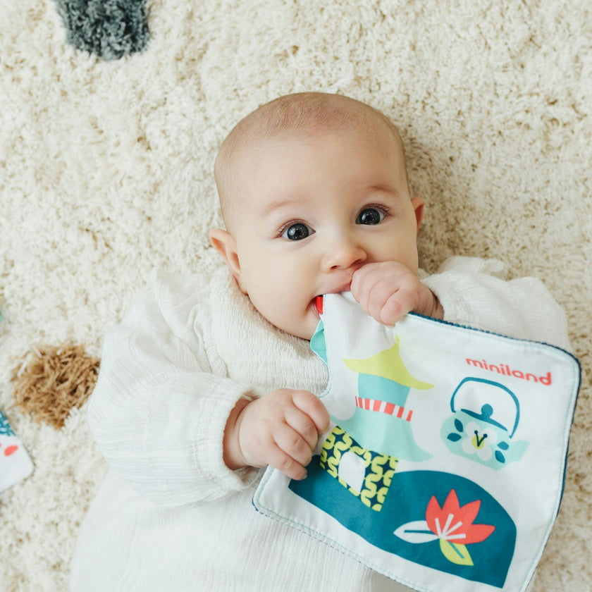 Feel To Learn&nbsp;Crinkly&nbsp;Sensoy Paper Sea Lion