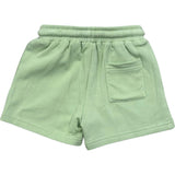 Boy's Everyday Shorts